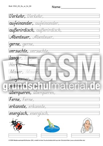 DSS_2S_Bu_er_Nr_09.pdf